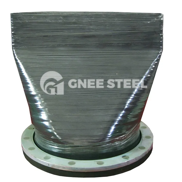 Zawór kontrolny Duckbill