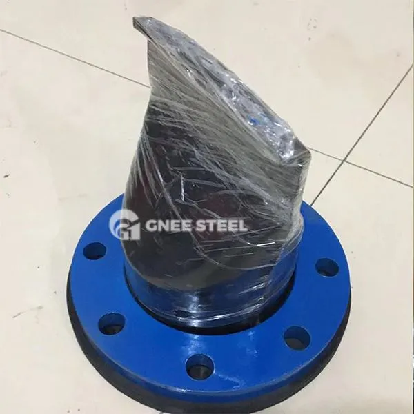 Zawór czeku na rachunek kaczki