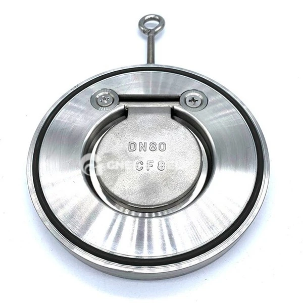 Flap Type Check Valve