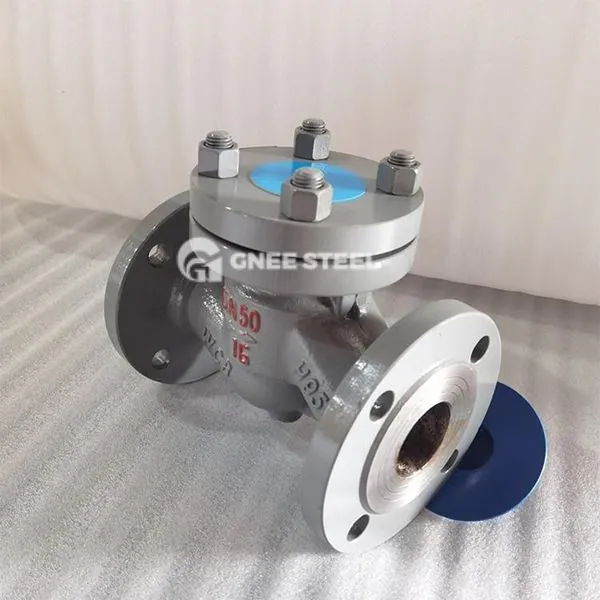 Poziome zawór kontrolny podnoszenia