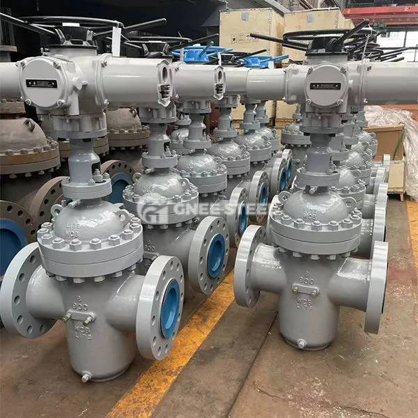 Równoległy zawór bramki podwójnej krąży