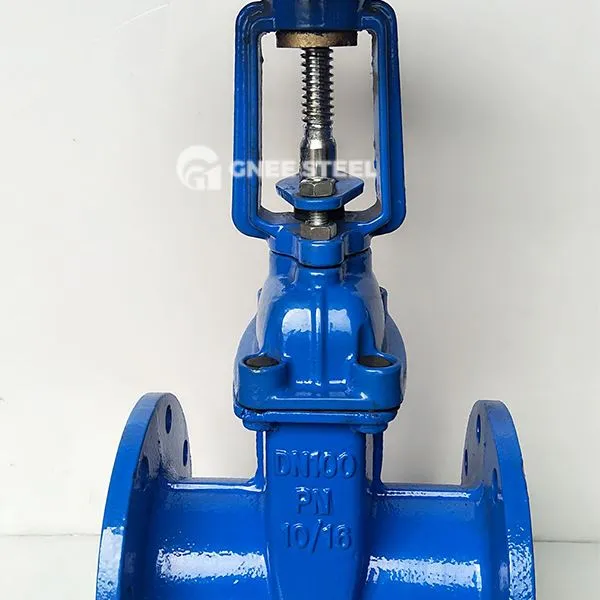 Odporne zawory bramki siedziska