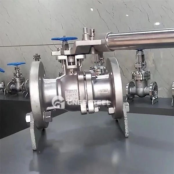 Załadowany sprężyna zawór kulowy