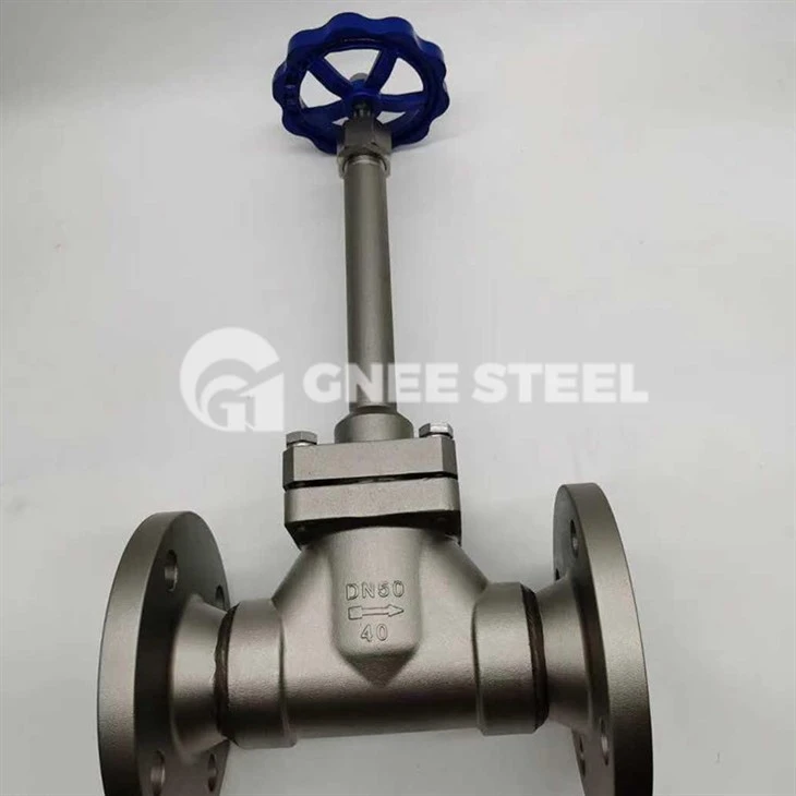 Stainless Steel Cryogenic Globe Valve