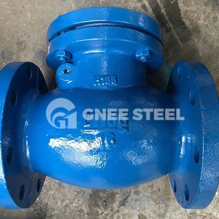 Swing Check Valves